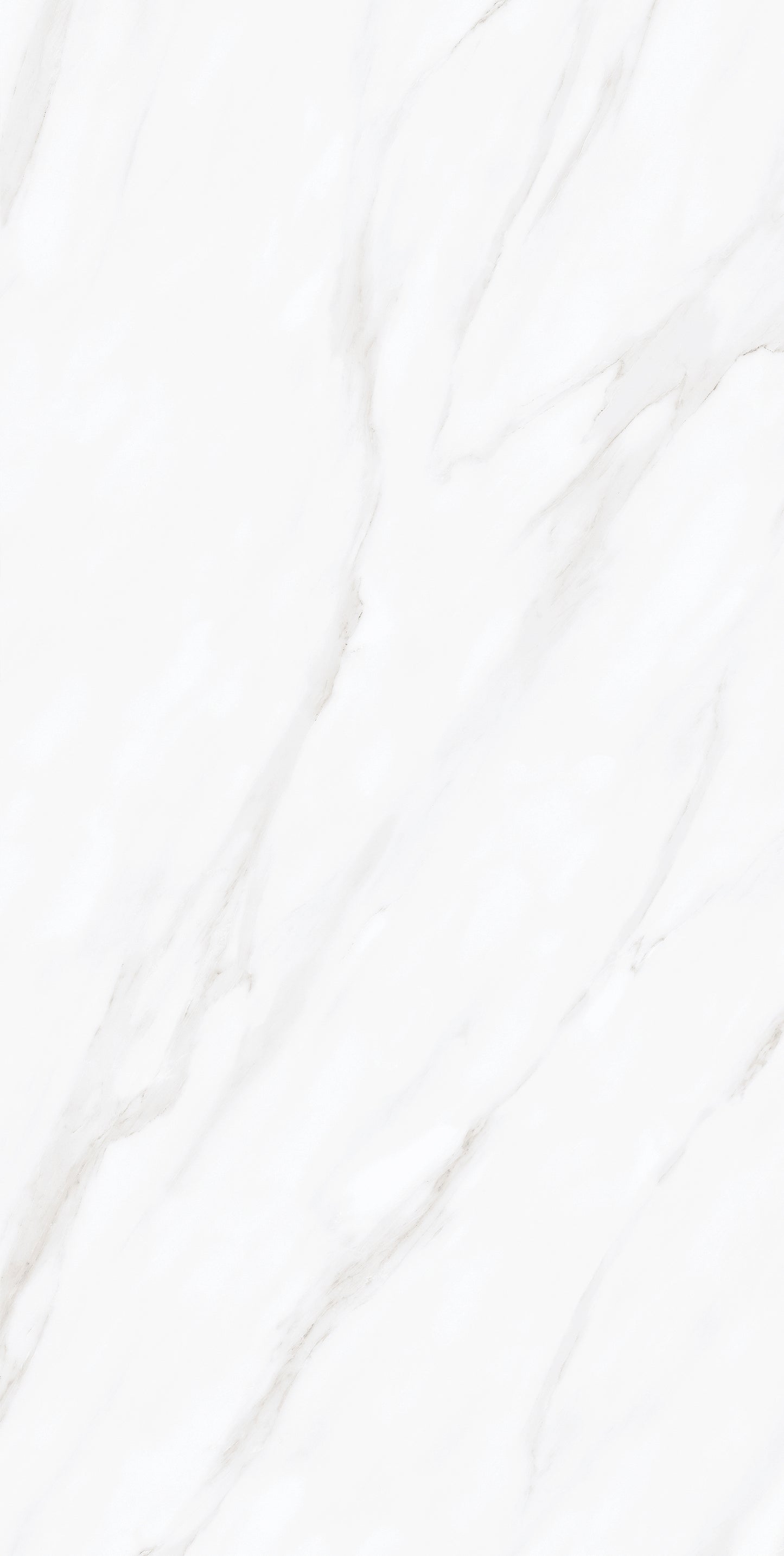 Calacatta Gray
